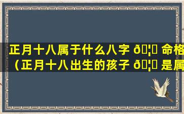 正月十八属于什么八字 🦍 命格（正月十八出生的孩子 🦍 是属什么星座的）